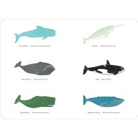 Whale Placemat